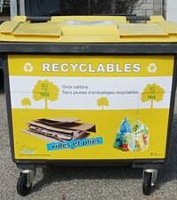 Agrandir l'image (fenêtre modale)