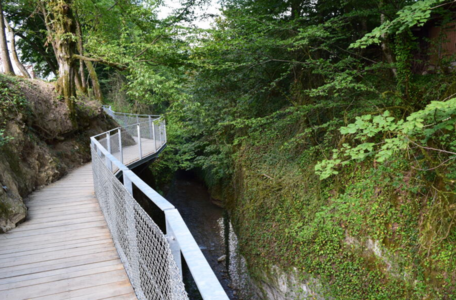 Agrandir l'image (fenêtre modale)