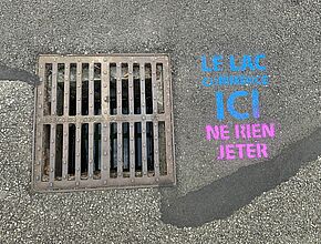 Agrandir l'image (fenêtre modale)