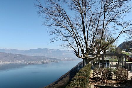 Agrandir l'image (fenêtre modale)